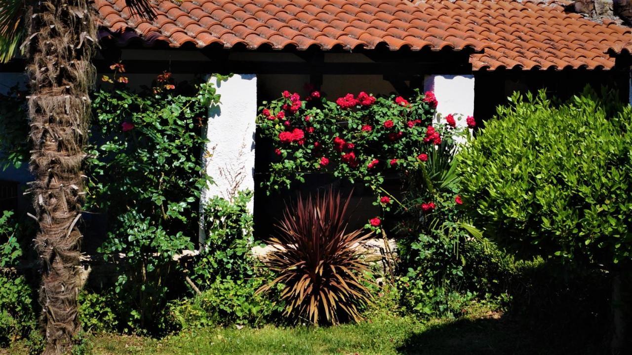 Apartments Garden موتوفون المظهر الخارجي الصورة